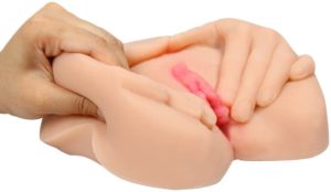 Heidi Baron - Pet Pussy - Image 2