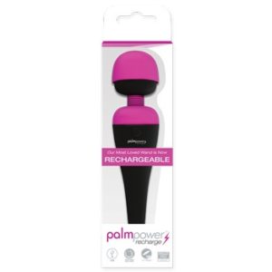 PALM POWER - RECHARGE WAND MASSAGER - Image 2